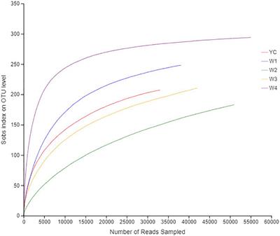 Comprehensive Analysis of Bacterial Community Structure and Diversity in Sichuan Dark Tea (Camellia sinensis)